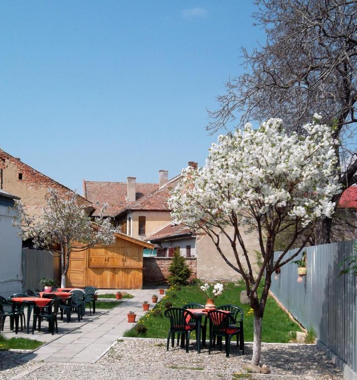 Pension Casa Sibianului Sibiu Exterior foto
